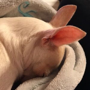 Meet your Posher, Debra